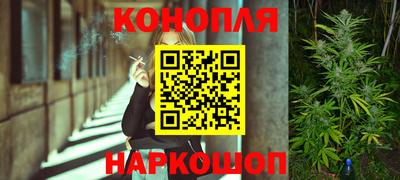 мяу мяу мука Беслан