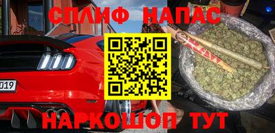 мяу мяу мука Беслан
