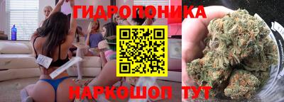 мяу мяу мука Беслан