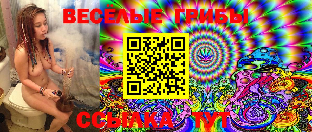 Псилоцибиновые грибы MAGIC MUSHROOMS  закладка  Каменск-Шахтинский  Вход с VPN 